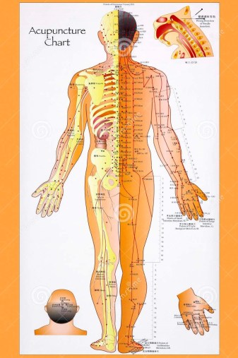 traditional-chinese-acupuncture-chart-system-complementary-medicine-involves-pricking-skin-needles-used-to-31484529